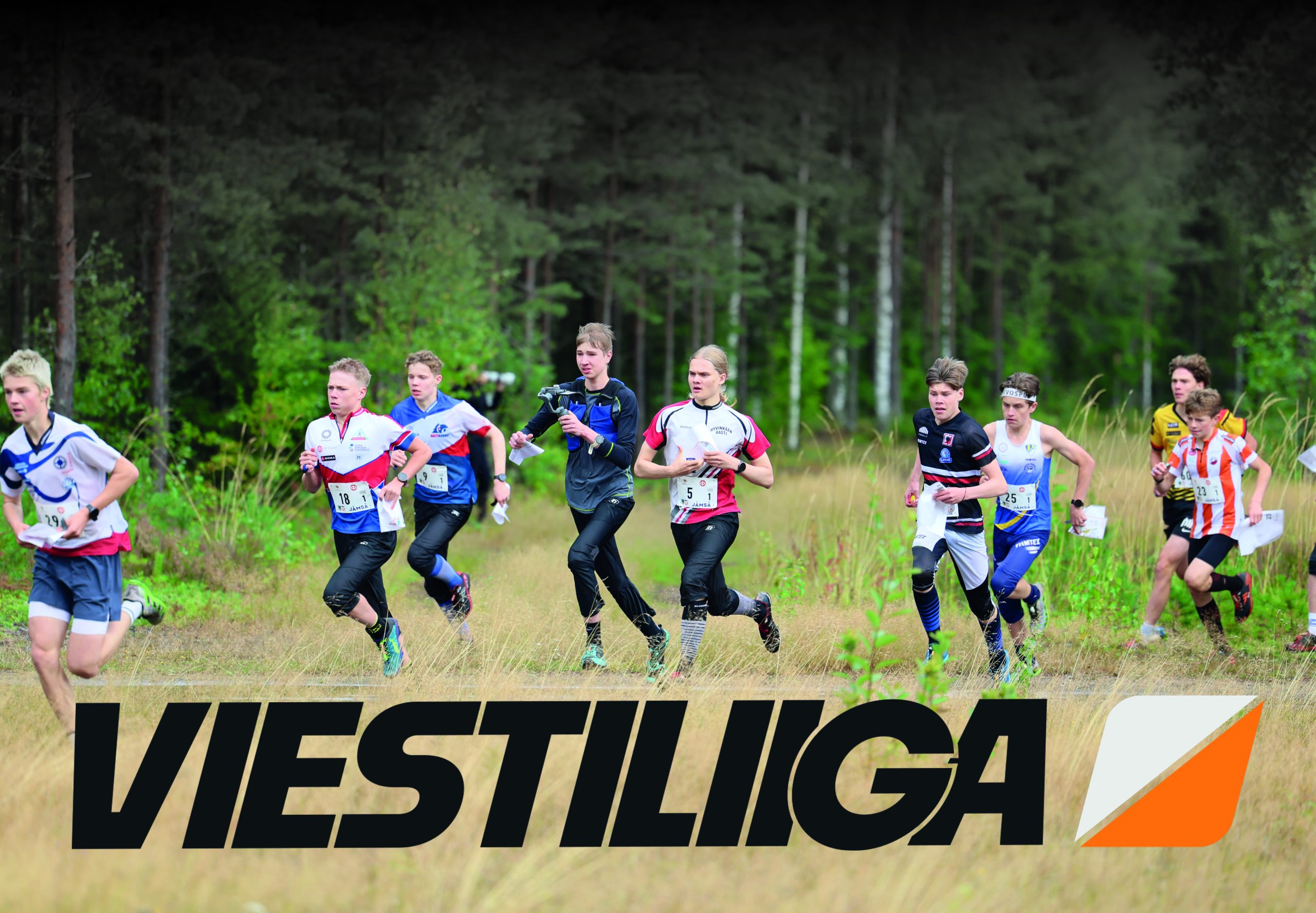 Viestiliigaan nuorten sarja